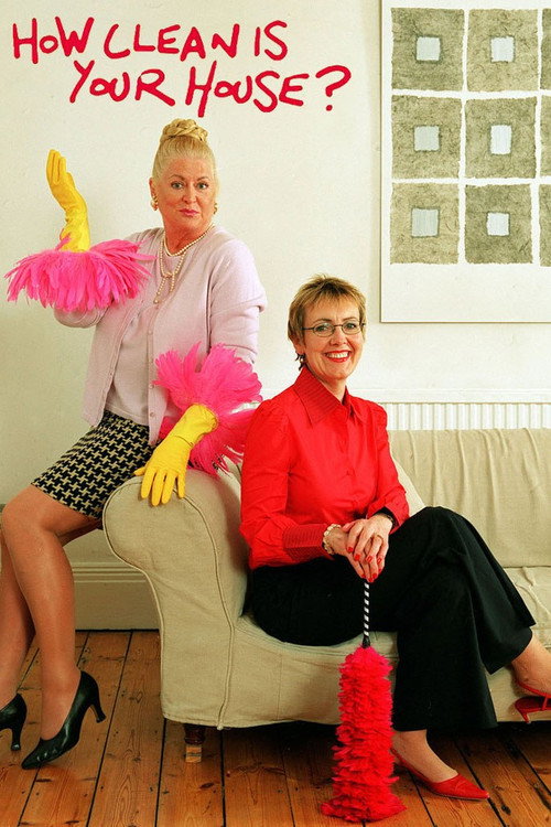 How Clean Is Your House? (2004) TV show poster