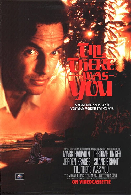 Till There Was You (1991) movie poster