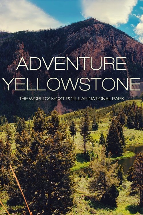Adventure Yellowstone (2013) movie poster