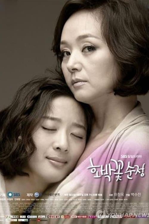 Pure Pumpkin Flower (2010) TV show poster