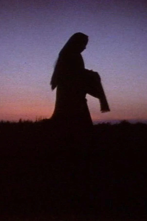 Women in the Shadows (1991) movie poster