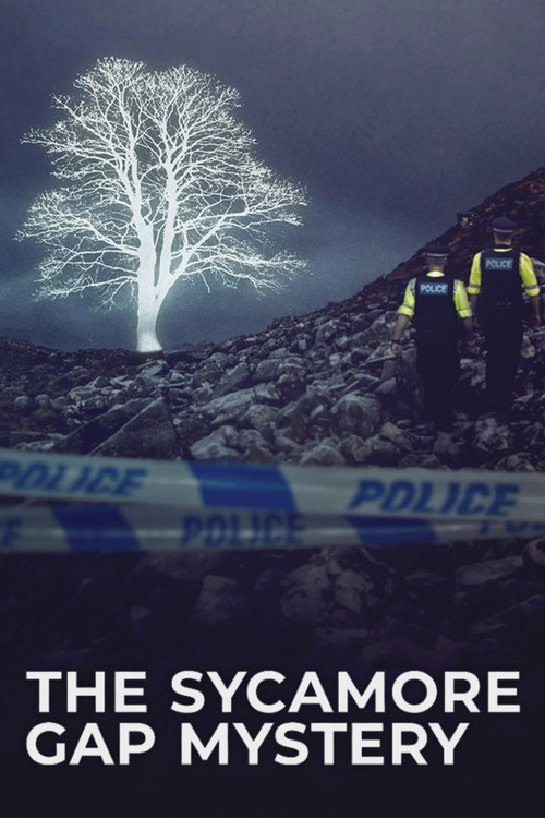 The Sycamore Gap Mystery (2025) TV show poster