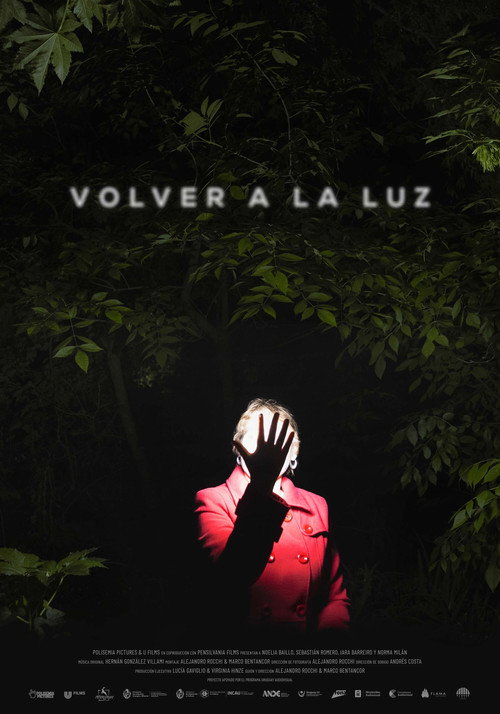 Back to the light (2024) movie poster