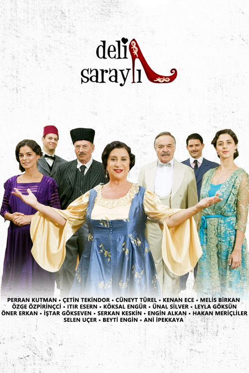 Deli Saraylı (2010) TV show poster