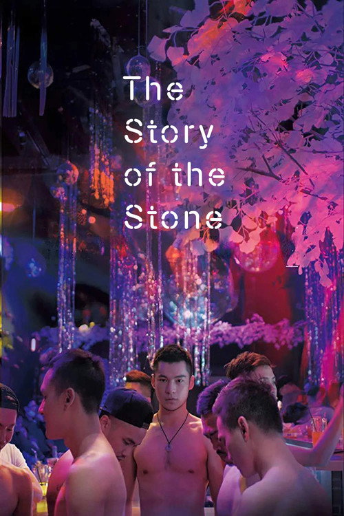 The Story of the Stone (2018) movie poster