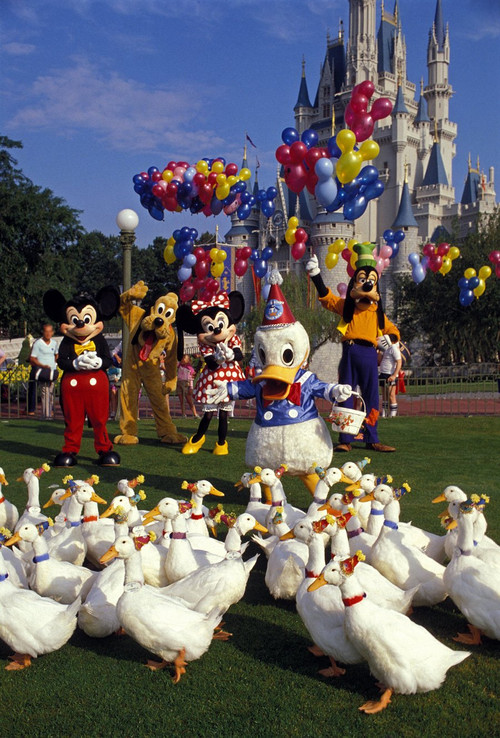 Donald Duck's 50th Birthday (1984) movie poster