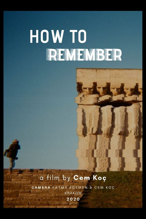How to Remember movie poster