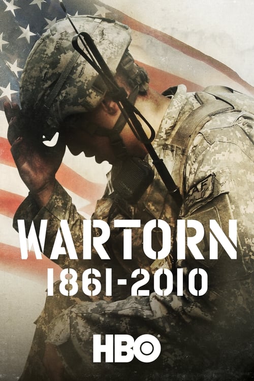 Wartorn: 1861-2010 (2010) movie poster
