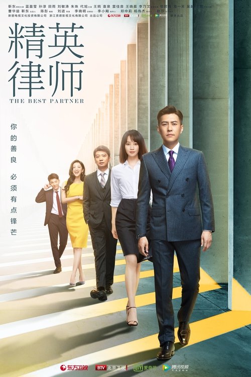 The Best Partner (2019) TV show poster