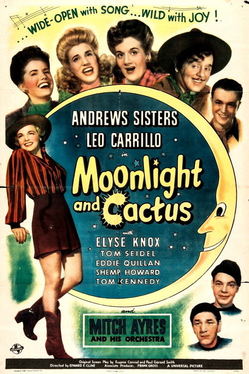 Moonlight and Cactus (1944) movie poster