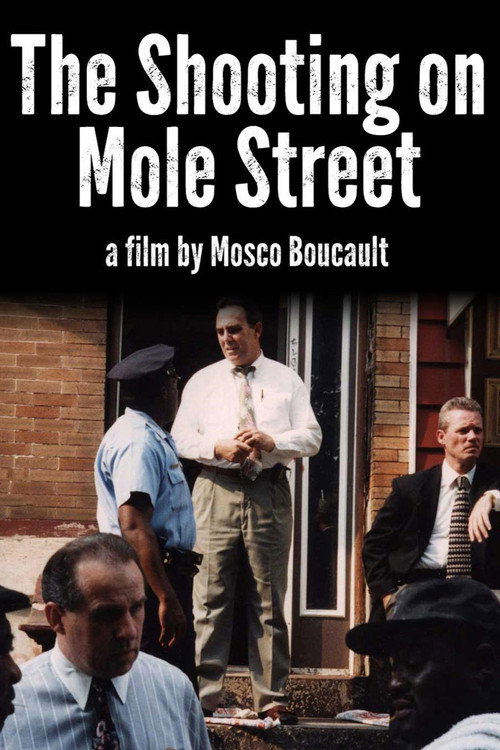 The Shooting on Mole Street (1998) movie poster