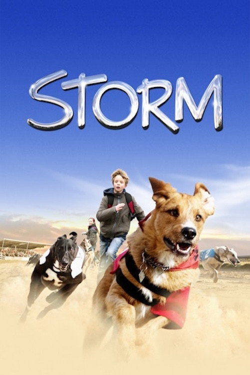 Storm (2009) movie poster