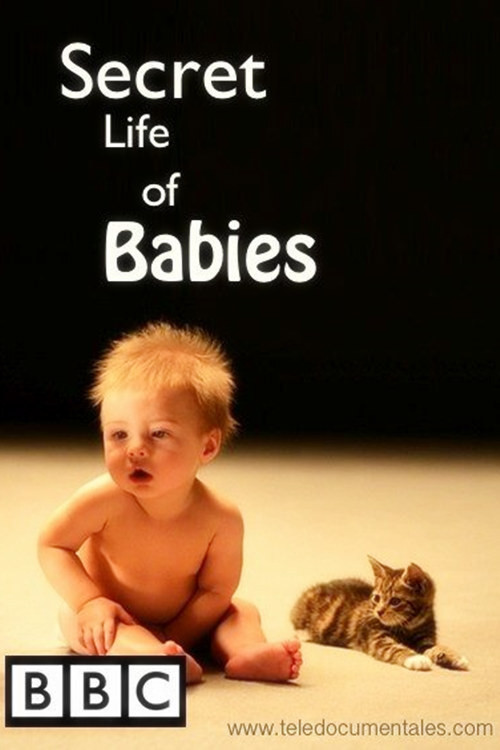 Secret Life of Babies (2014) movie poster