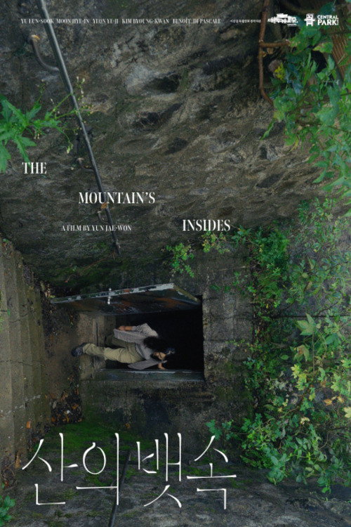 The Mountain’s Insides (2024) movie poster