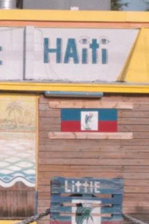 Dear Little Haiti (2024) movie poster