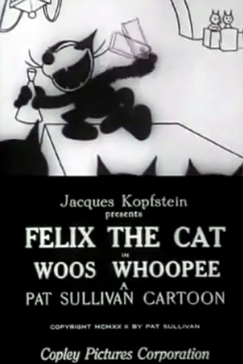 Woos Whoopee (1928) movie poster