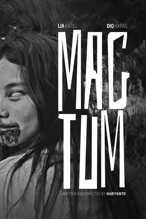 Made by Witch (2024) movie poster