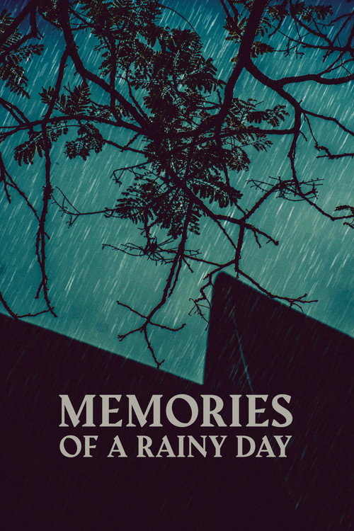 Memories of a Rainy Day (2023) movie poster