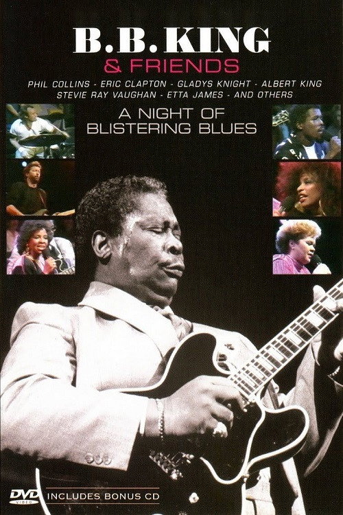 B.B. King & Friends (1987) movie poster