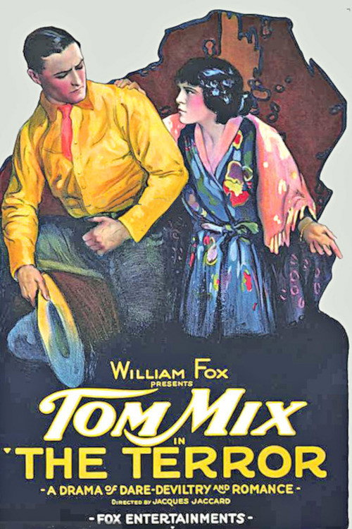 The Terror (1920) movie poster