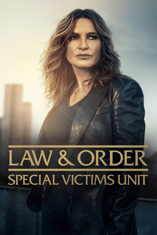Law & Order: Special Victims Unit (1999) TV show poster