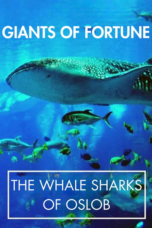 Giants of Fortune: The Whale Sharks of Oslob (2014) movie poster