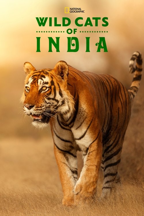 Wild Cats of India (2020) TV show poster