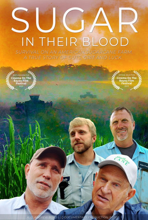 Sugar in Their Blood (2023) movie poster