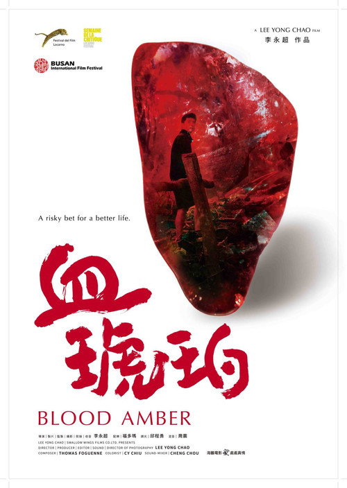 Blood Amber (2017) movie poster