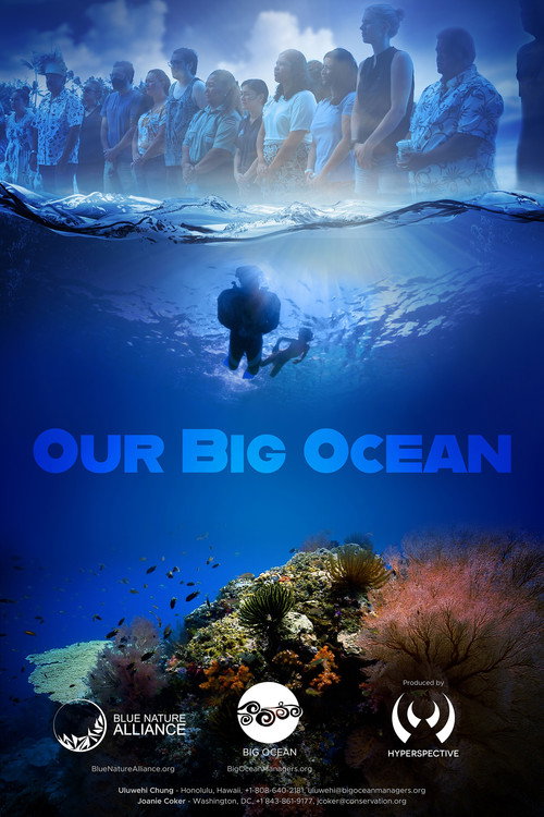 Our Big Ocean (2023) movie poster