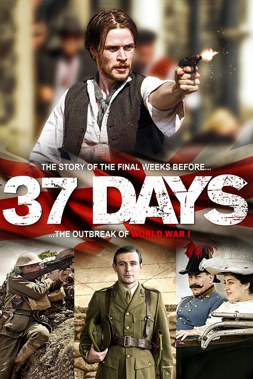 37 Days (2014) TV show poster