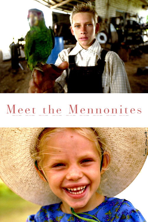 Meet the Mennonites (2020) movie poster