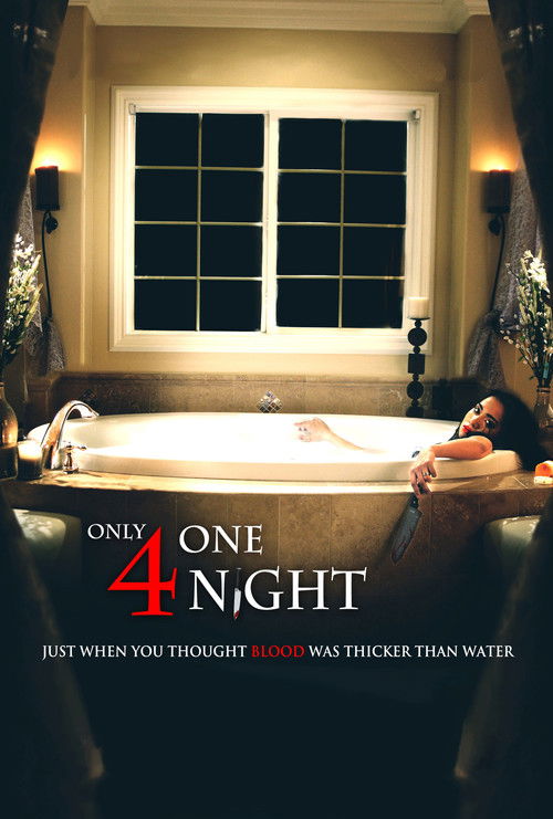 Only for One Night (2016) movie poster