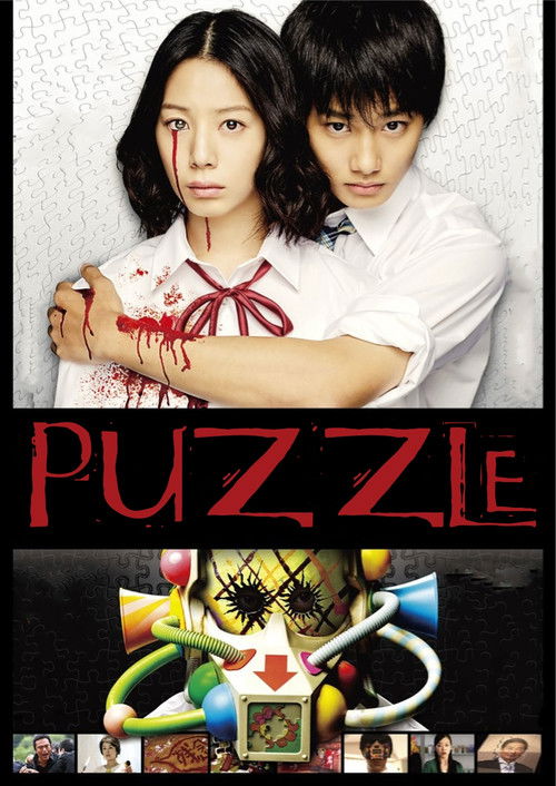 Puzzle (2014) movie poster