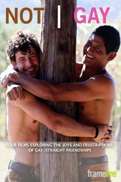 Not Gay (2008) movie poster