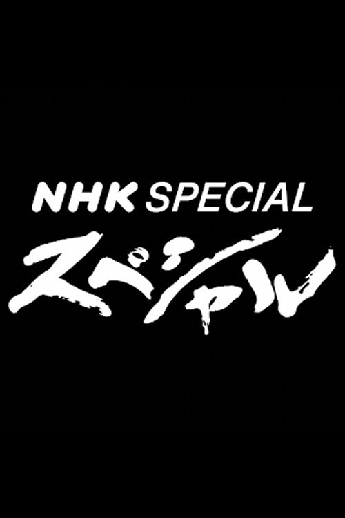 NHK Special (1989) TV show poster