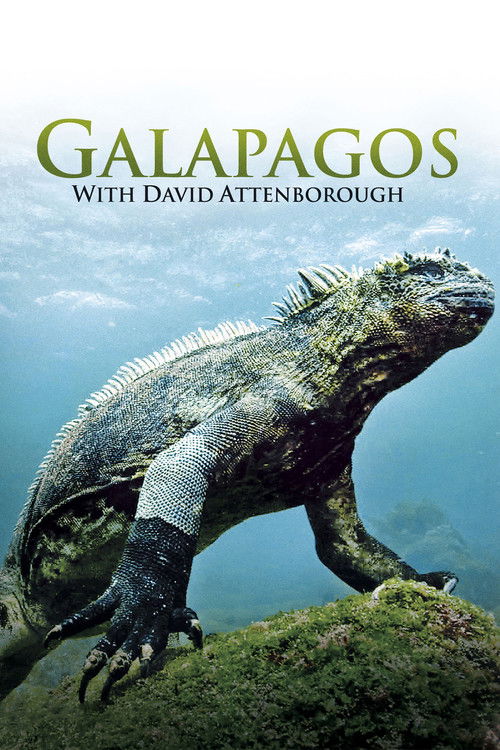 Galapagos 3D with David Attenborough (2013) TV show poster