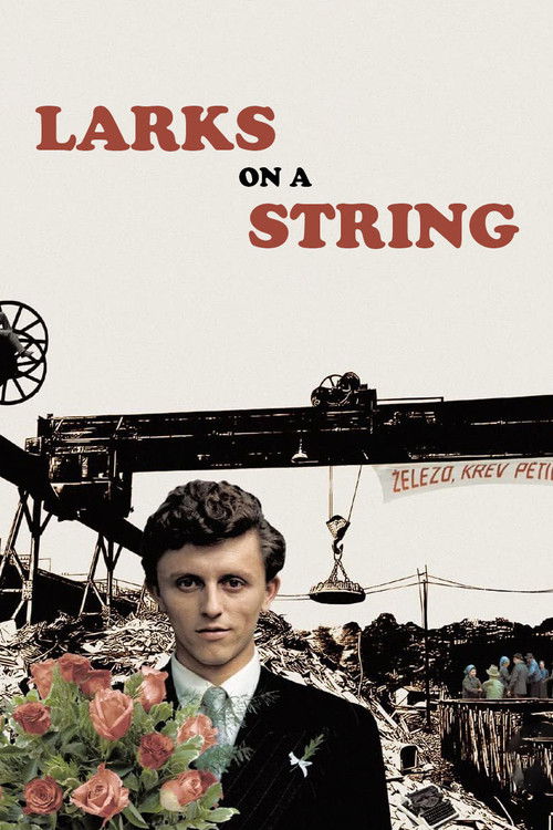 Larks on a String (1990) movie poster