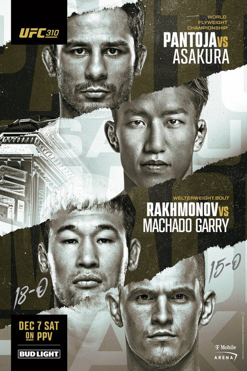 UFC 310: Pantoja vs. Asakura (2024) movie poster