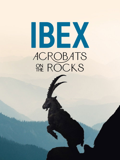 Ibex: Acrobats on the Rocks movie poster