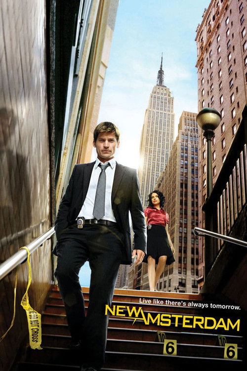 New Amsterdam (2008) TV show poster