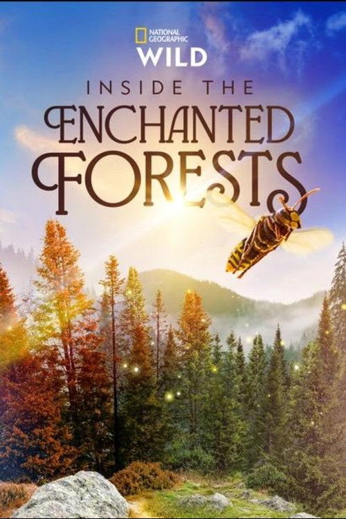 Inside the Enchanted Forests (2024) TV show poster