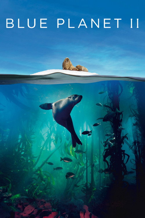 Blue Planet II (2017) TV show poster