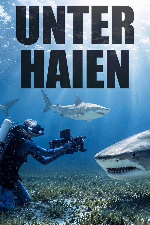 Among Sharks (2026) TV show poster