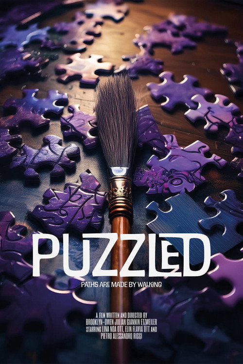 Puzzled - Paths are made by walking (2025) movie poster