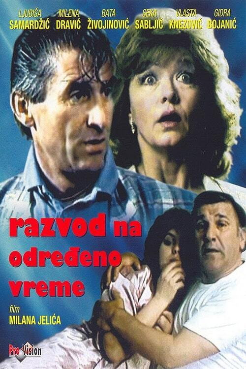 Part-Time Divorce (1986) movie poster