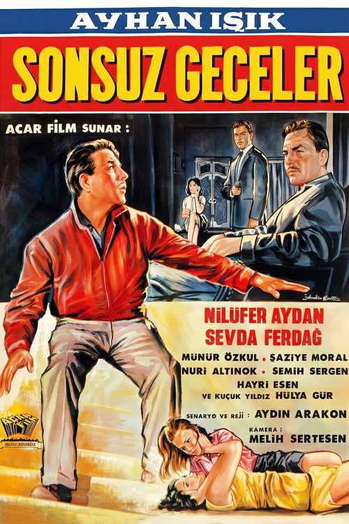 Sonsuz Geceler (1965) movie poster