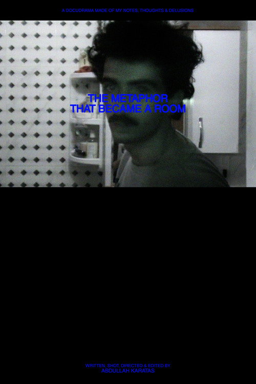 The Metaphor That Became a Room (2025) movie poster