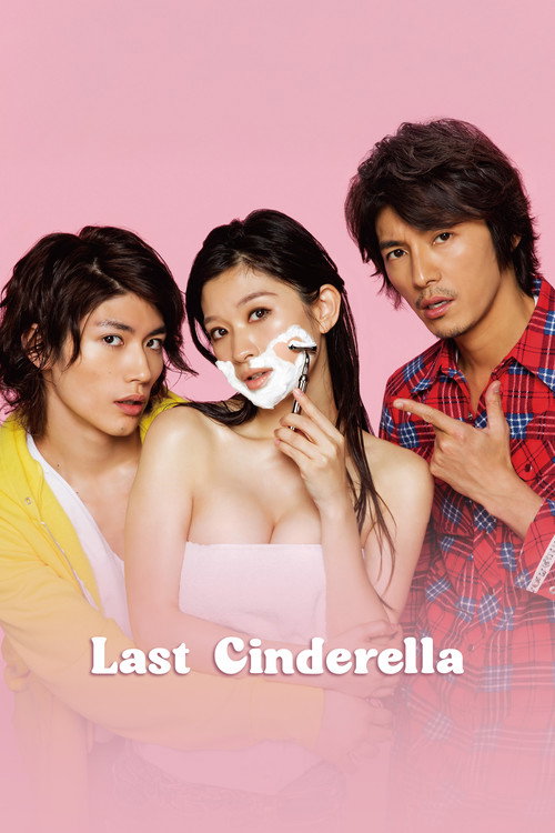 The Last Cinderella (2013) TV show poster