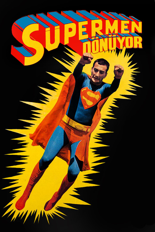 The Return of Superman (1979) movie poster